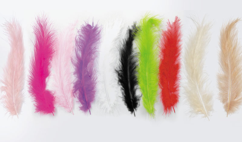 Πούπουλο Φτερό μεγάλο 13,5εκ. κωδ.0517493 (50τμχ) - Image 1