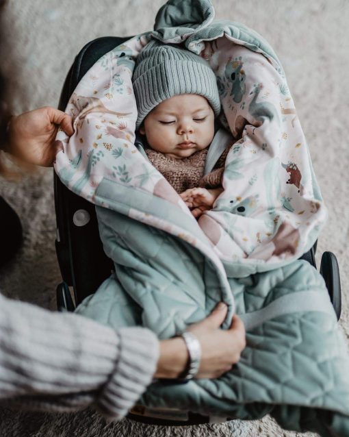 Car seat blanket - Dundee and friends