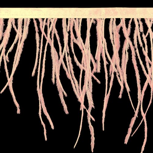 Τρέσα Φτερό Στρουθοκάμηλος 15-18εκ. - Image 9