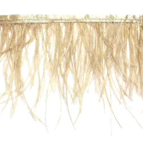 Τρέσα Φτερό Στρουθοκάμηλος 15-18εκ. - Image 16