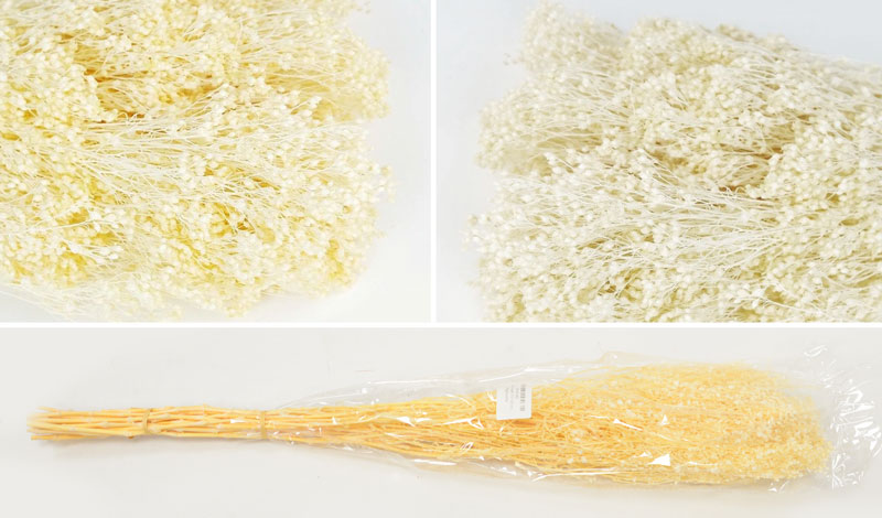 Αποξηραμένα Φυτά Broom Bloom 70εκ. κωδ.0516160 - Image 1