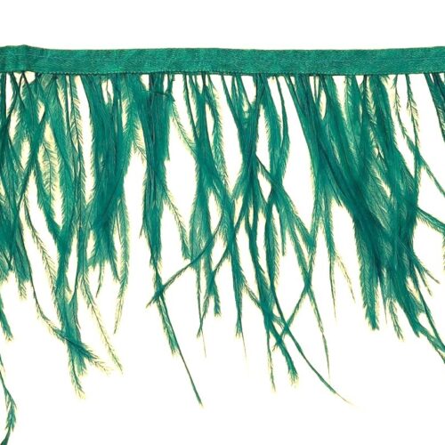 Τρέσα Φτερό Στρουθοκάμηλος 15-18εκ. - Image 19