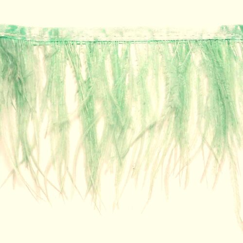 Τρέσα Φτερό Στρουθοκάμηλος 15-18εκ. - Image 12