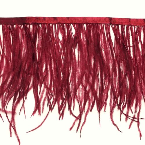 Τρέσα Φτερό Στρουθοκάμηλος 15-18εκ. - Image 14