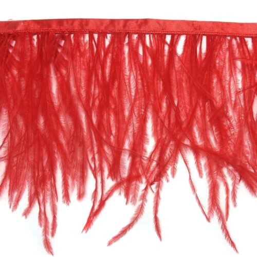 Τρέσα Φτερό Στρουθοκάμηλος 15-18εκ. - Image 11