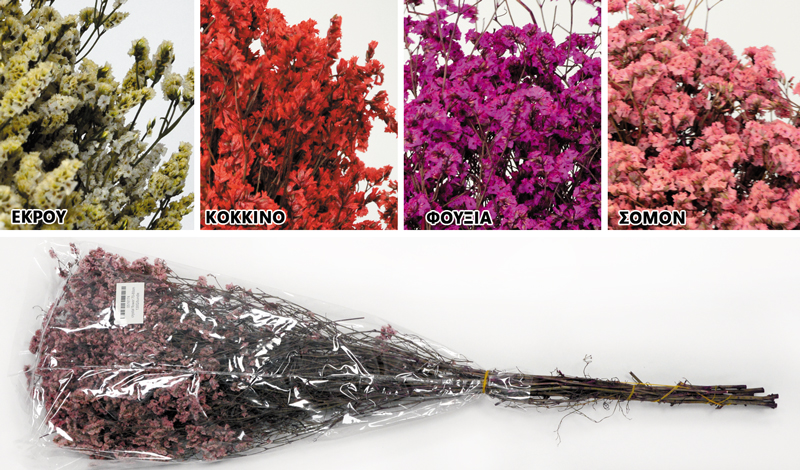 Αποξηραμένα Φυτά Crystal Flower 60εκ. κωδ.0516174 - Image 1