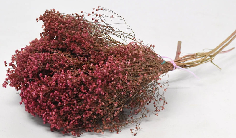 Αποξηραμένα Φυτά Broom Bloom Ροζ 50εκ. κωδ.0924004 - Image 1