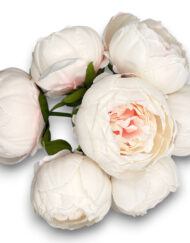 Πεόνια Ιβουάρ Μπουκέτο 7τμχ κωδ.Λ93